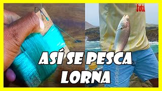 Cómo se pesca lorna  Armada para pescar lorna [upl. by Saied]