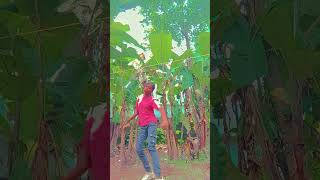 Etho sayana 🥰🥰😍❤️ song music lovesong love Swobhu Asokan [upl. by Gerta298]