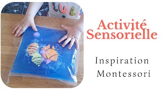 Activité Montessori  Sac sensoriel [upl. by Ruddie]