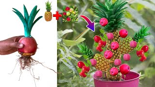 Techniques for grafting mix Apples with Pineapple Get more fruit than expected [upl. by Asserrac229]