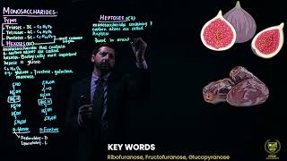 Types of Monosaccharides  11TH BIOLOGY  CHP 2  LECTURE 7 [upl. by Georgeanna649]