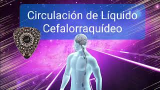 ☄️432 Hz  Circulación de líquido cefalorraquídeo  Limpiar el cerebro y la médula espinal de [upl. by Cly]