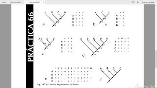 BPA matriz de datos [upl. by Yeaton]