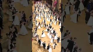 How to Party in Vienna Opera Ball Edition vienna shorts travel [upl. by Admana479]