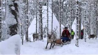 Santas Reindeer in Lapland [upl. by Marve719]