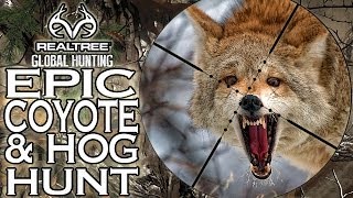 EPIC Coyote Double and Hog Hunting with L3 Outdoors [upl. by Adnarrim]