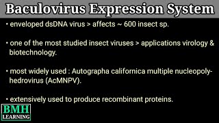 Baculovirus Expression Vector  Insect Virus  Baculovirus Expression system  BCV Insect Cell Lines [upl. by Carolynne]