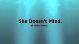 Sean Paul  She Doesnt Mind Remix Dj Gabz [upl. by Stoeber417]