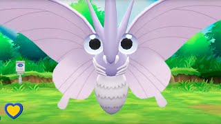 HOW TO GET Venomoth in Pokémon Lets Go Pikachu amp Eevee [upl. by Yelrac]