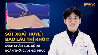 Sốt xuất huyết bao lâu thì khỏi Cách chăm sóc để rút ngắn thời gian hồi phục  VNVC [upl. by Cybil524]