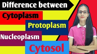 Difference between ProtoplasmCytoplasmCytosol Nucleoplasm  cell apnasapnajrf [upl. by Ilime]