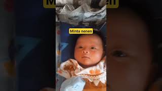 insyira minta nenen baby babygirl babycute bayilucu [upl. by Nosemyaj]