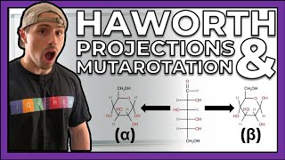 Haworth Projections amp Mutarotation with Examples [upl. by Yecart]