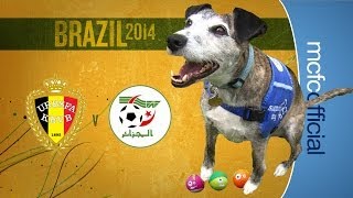 Kompanys Belgium v Algeria  WORLD CUP DOG PREDICTIONS [upl. by Ahseka697]