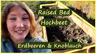 Raised Bed Hochbeet anlegen │Erdbeeren amp Knoblauch [upl. by Eelyr331]