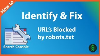 How to Identify amp Fix URLs Blocked by robotstxt  Search Console WordPress [upl. by Johann194]