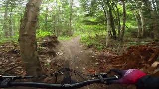 Tabor Mountain Rec Trails  DAYDREAM  VITUS SOMMET 2022 [upl. by Zaller]