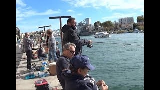 La pêche à la dorade à la Pointe Courte à Sète [upl. by Airahs]