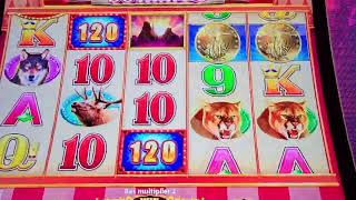 Double Money Link Bonus to Jackpot Hits [upl. by Bronwyn862]