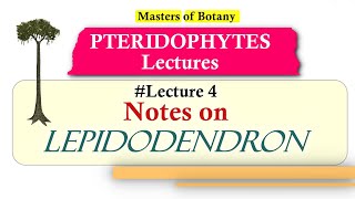 Lecture 4  Lepidodendron Fossil Life Cycle  Pteridophyta Lecture Notes [upl. by Salvatore]