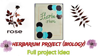 New Herbarium file project biology  herbarium sheet  herbarium specimen  project file [upl. by Ulani]