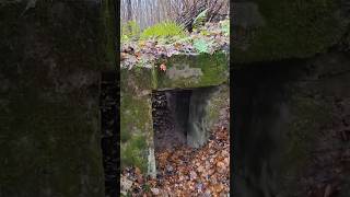 Ww1 german beton bunker rigasfrontline easternfront find metaldetecting xpdeus germanmilitary [upl. by Granlund]