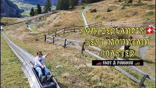 Epic toboggan ride tobogganing fun  Rodelbahn  Moutain Coaster with panoramic alpine beauty🇨🇭😍 [upl. by Willms25]