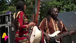 Sona Jobarteh  Bannaye  LIVE at Afrikafestival Hertme 2018 [upl. by Natalee]