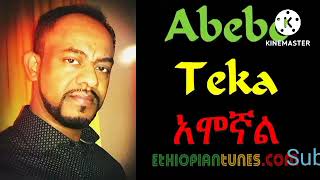 Abebe Teka All Album [upl. by Terrej]