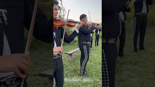 Mariachi Real Tamazula La Feria de las Flores [upl. by Gaultiero124]