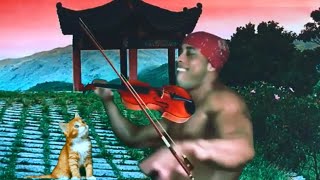 Ayasa 告白の夜 The Reason Why Violin Cover by Ricardo Milos With Cat [upl. by Wilhelm]