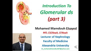 introduction to glomerulonephritis part 3 Treatment [upl. by Nosimaj881]