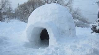 Common Questions About Igloos [upl. by Arit]