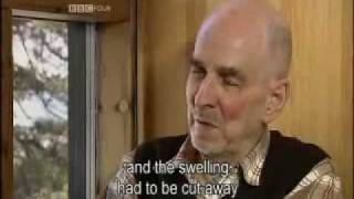 Ingmar Bergman Interview 56 Entrevista BBC [upl. by Anyahc362]