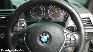 2013 BMW 116i M Sport F20  Startup [upl. by Donna]