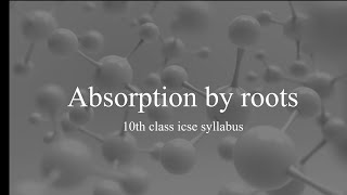 absorptive by roots class 10 icse [upl. by Jessica]