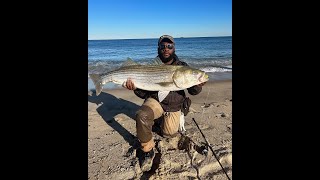 2023 NJ FALL RUN  FISH BLITZING  NEW PB [upl. by Sigfried]