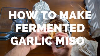 How to make fermented garlic miso purée [upl. by Arannahs]