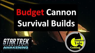 Budget Cannon Survival Builds  Star Trek Online [upl. by Sorilda]