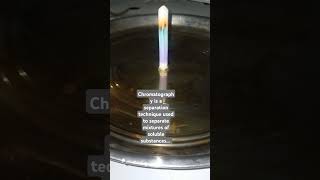 Chromatography  Separation Technique  Science 🔭🧪 Experiment 🥼 Using Chalk [upl. by Astrid]