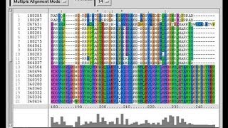 Bioinformatics part 4 Introduction to FASTA and BLAST [upl. by Ednalrim]