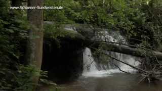 Das Strümpfelbachtal  urtümliches Tal im Schwäbisch Fränkischen Wald [upl. by Cheria]