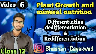 Differentiation Dedifferentiation Redifferentiation  Part 6  Plant Growth and Mineral nutrition [upl. by Renell]