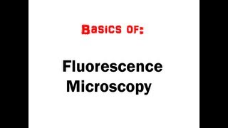 Fluorescence Microscopy in 5 mins HD [upl. by Revorg563]