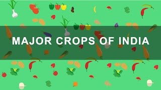 Major Crops of India  Rabi Kharif Zaid crops  Indian Agriculture Geography [upl. by Maurene]