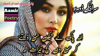 Best Poetry linesSad PoetrySraiki GazzalGazzalUrdu shyeri poetrystatus aamir poetry [upl. by Vijnas415]