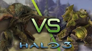 Halo 3 AI Battle  Flood Tanks vs Brutes [upl. by Phenice]