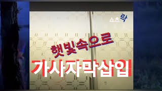 장혁차태현햇빛속으로ost정순원가사자막 [upl. by Samp]