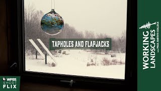 Tapholes and Flapjacks  Working Landscapes with Paul Smiths College [upl. by Lindley688]