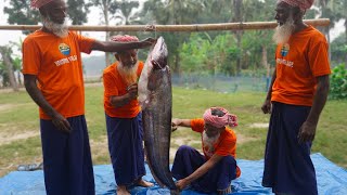 Giant Wallago Fish Cutting amp Cooking by Grandpa  Big Boal Fish Aloo Bhuna Curry for Special People [upl. by Huang]